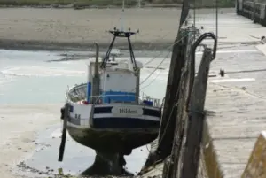 Beitrag zu Im Bund ist die CDU ein Total-Versagen, wie sieht es in Hilden aus?